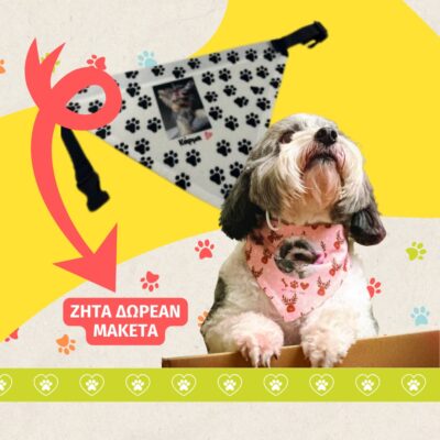 Φτιάξε τη δικιά σου μπαντάνα για το σκυλάκι σου !!!